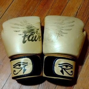 Fairtex 16 oz Falcon bg41 boxing gloves used